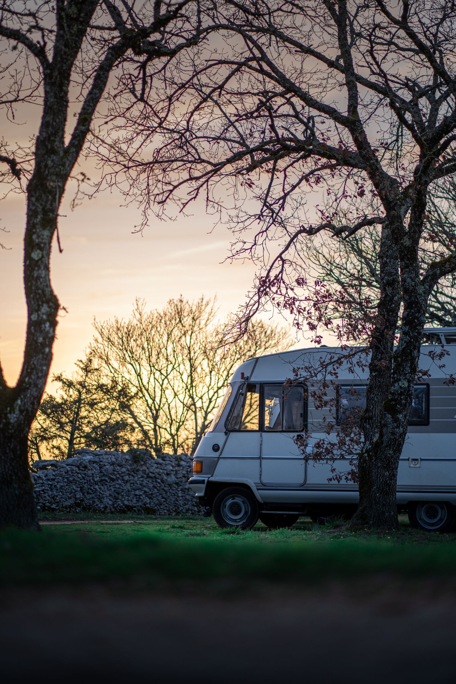 Our fleet on the road — 2
